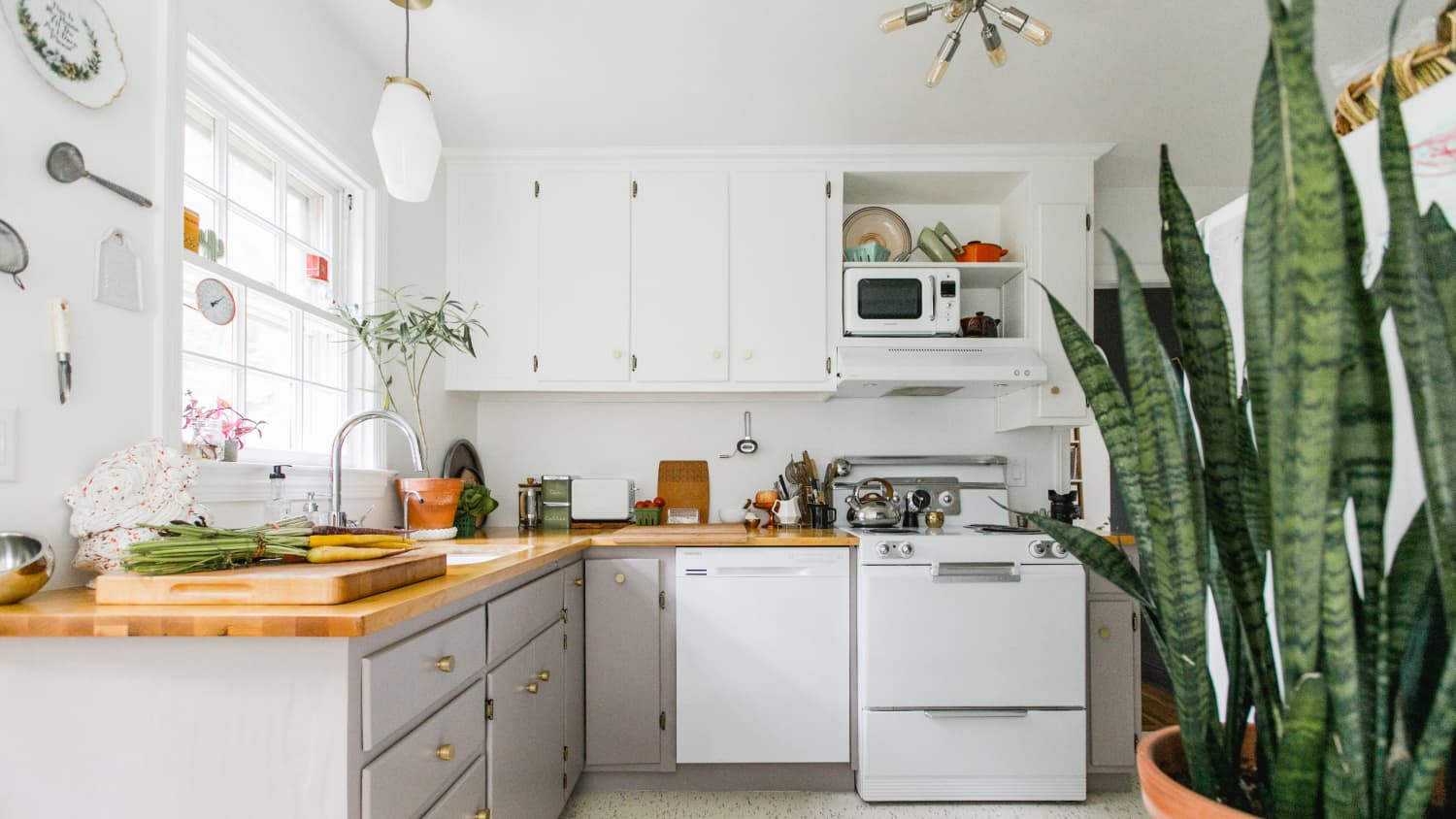 Does dishwasher sales kill bacteria